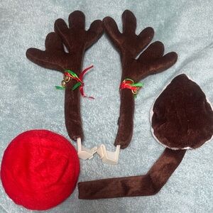 Brown Reindeer Antlers and Red Nose Set